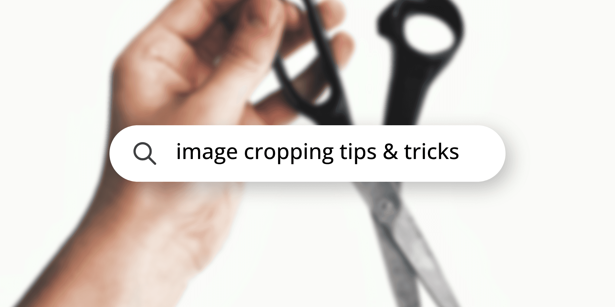 Cover Image for Image Cropping and Composition Tips: Enhancing Your Visual Storytelling